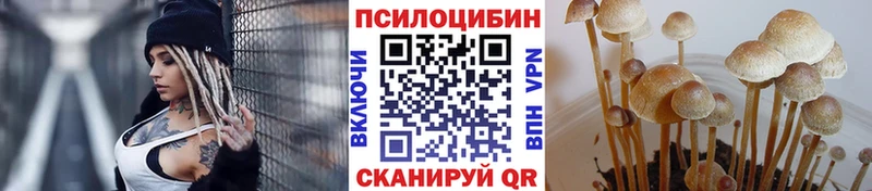 Галлюциногенные грибы Psilocybe  Татарск 